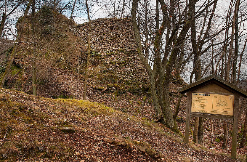 Burgruine Werdeck, Rot am See, Germany, Germany